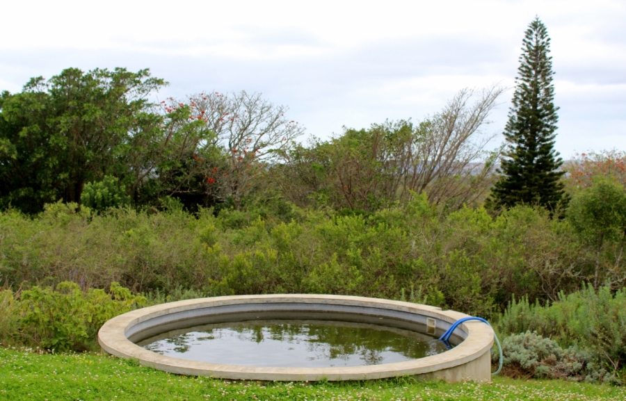 4 Bedroom Property for Sale in Bathurst Eastern Cape